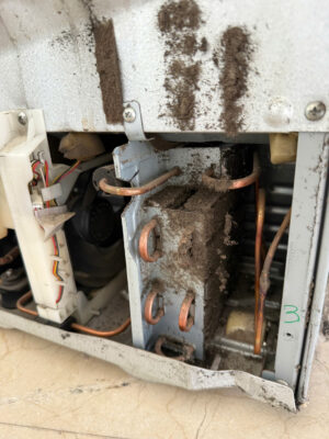Vệ sinh tủ lạnh thường xuyên giúp tủ hoạt động bền bỉ Vệ sinh tủ lạnh thường xuyên giúp tủ hoạt động bền bỉ